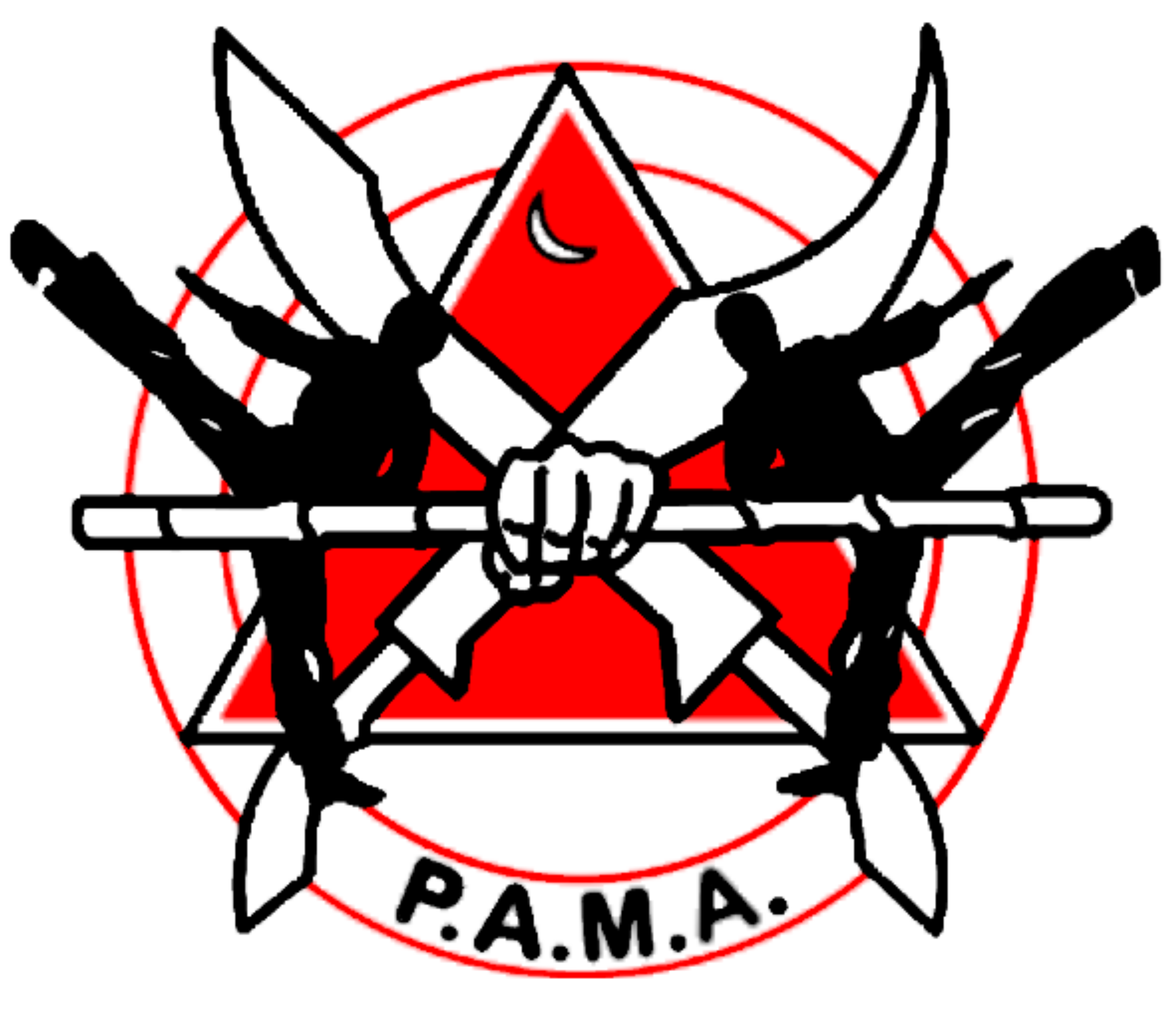 cropped-PAMA-LOGO-NO-BG.png