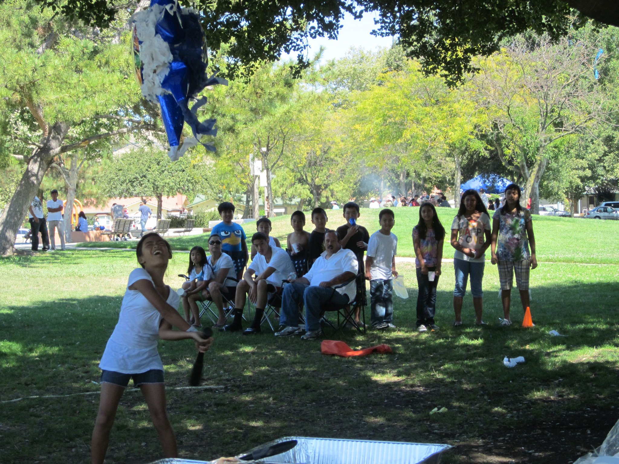 The 21st Annual P.A.M.A Picnic 2011