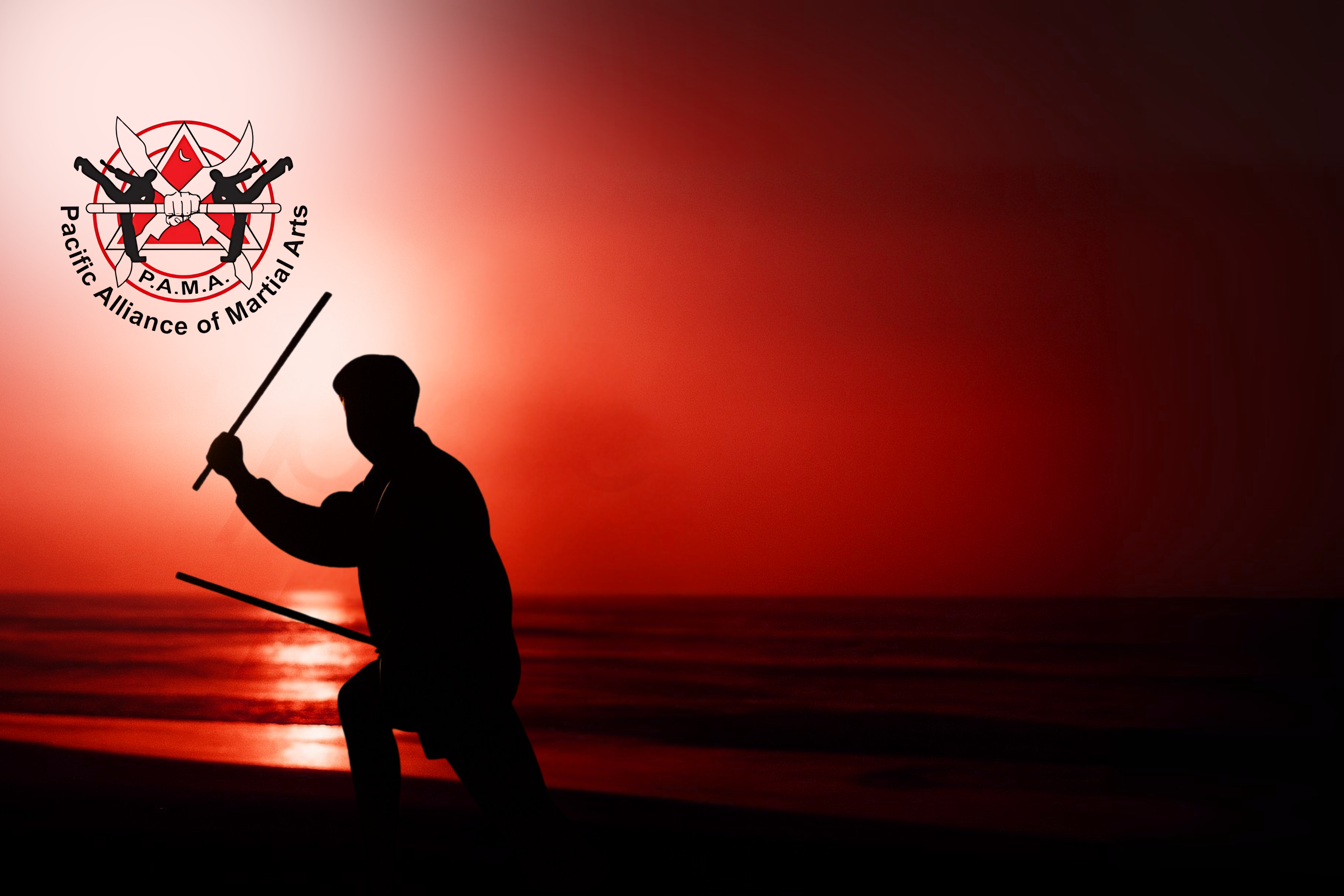PAMA Landing Page Background 1