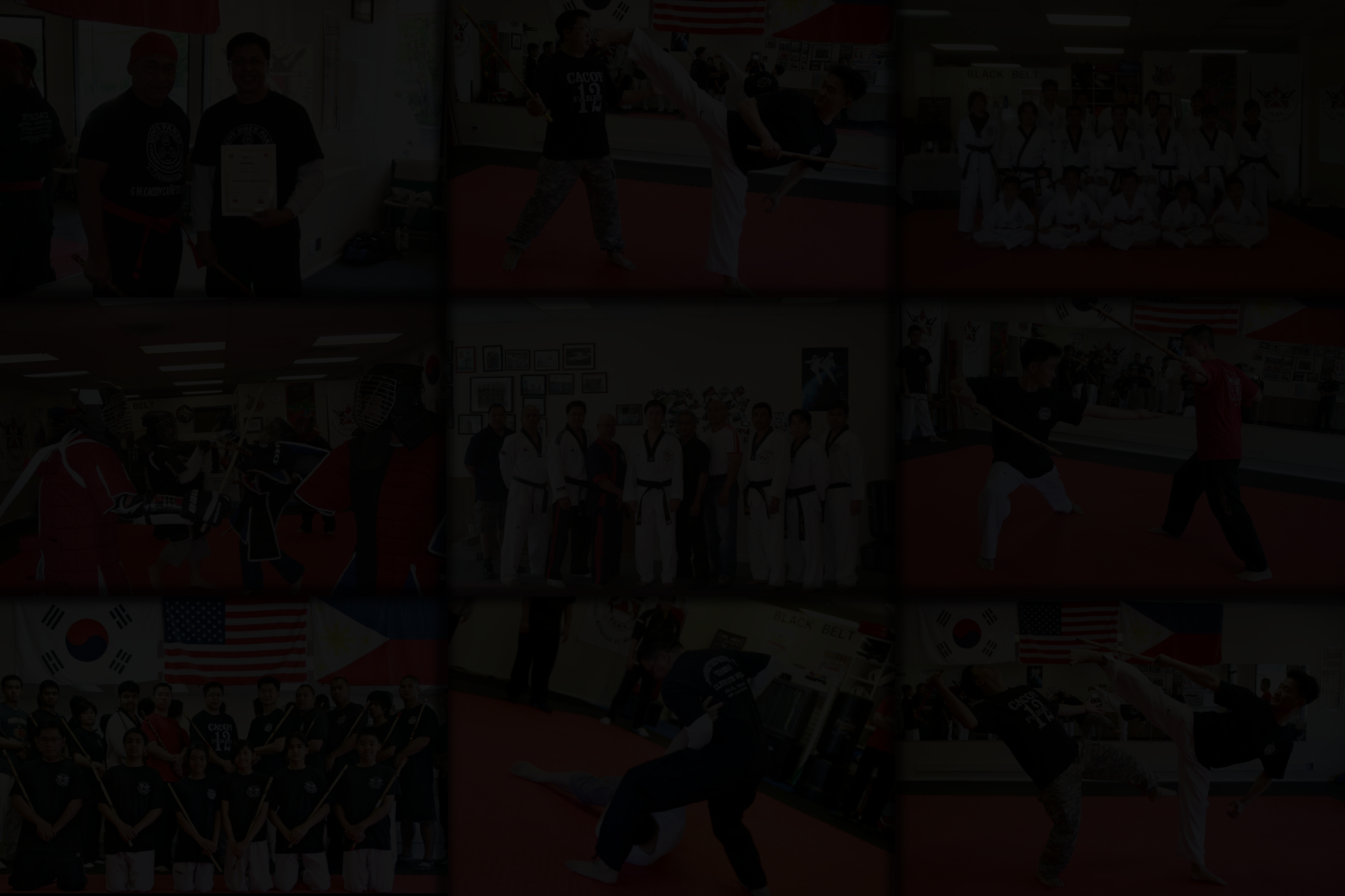 PAMA Landing Page Background 3